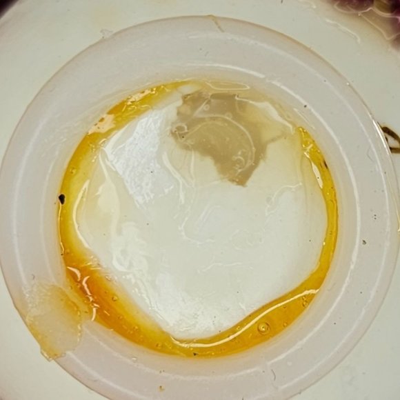 Vintage Handmade Boxer Dog Real Egg Christmas Ornament Beaded - Picture 7 of 9